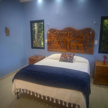 The Flycatcher Inn Retreat Hotel Santa Elena Exteriör bild