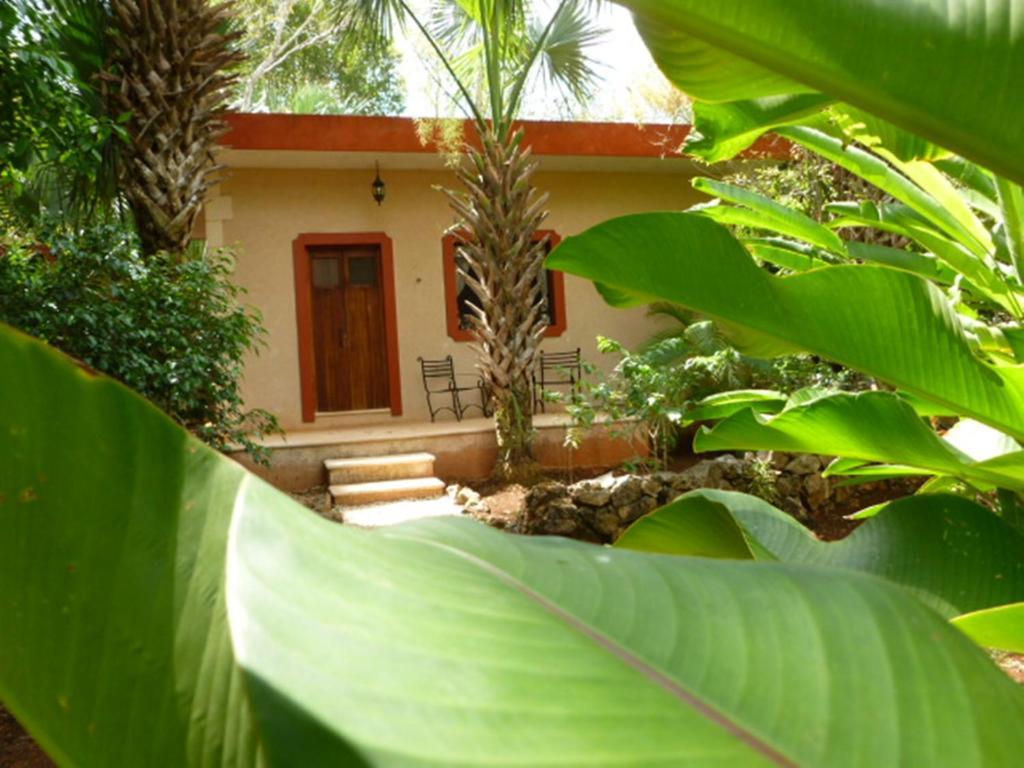 The Flycatcher Inn Retreat Hotel Santa Elena Exteriör bild