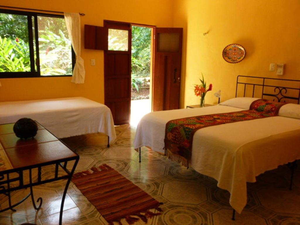 The Flycatcher Inn Retreat Hotel Santa Elena Rum bild