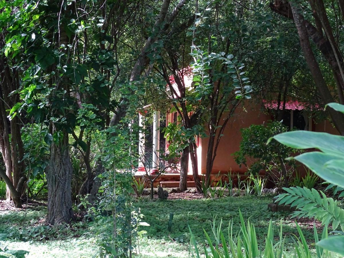 The Flycatcher Inn Retreat Hotel Santa Elena Exteriör bild