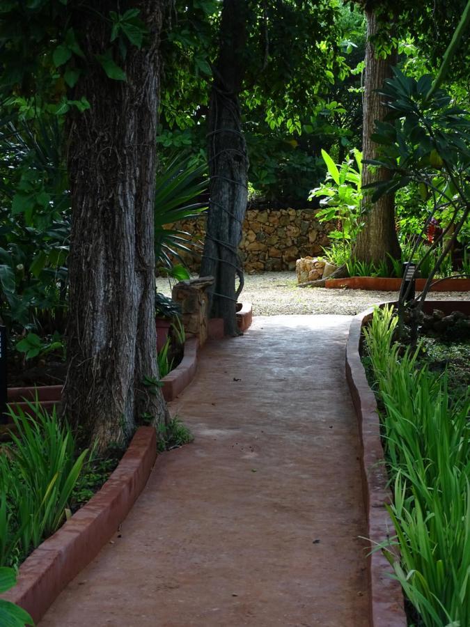 The Flycatcher Inn Retreat Hotel Santa Elena Exteriör bild